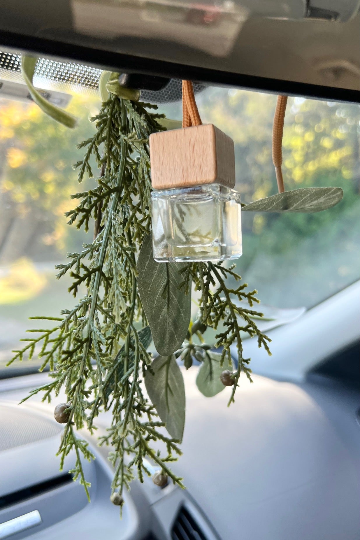 Small Space Air Freshener Wisconsin Winter