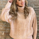 Cable Knit Turtle Neck Sweater