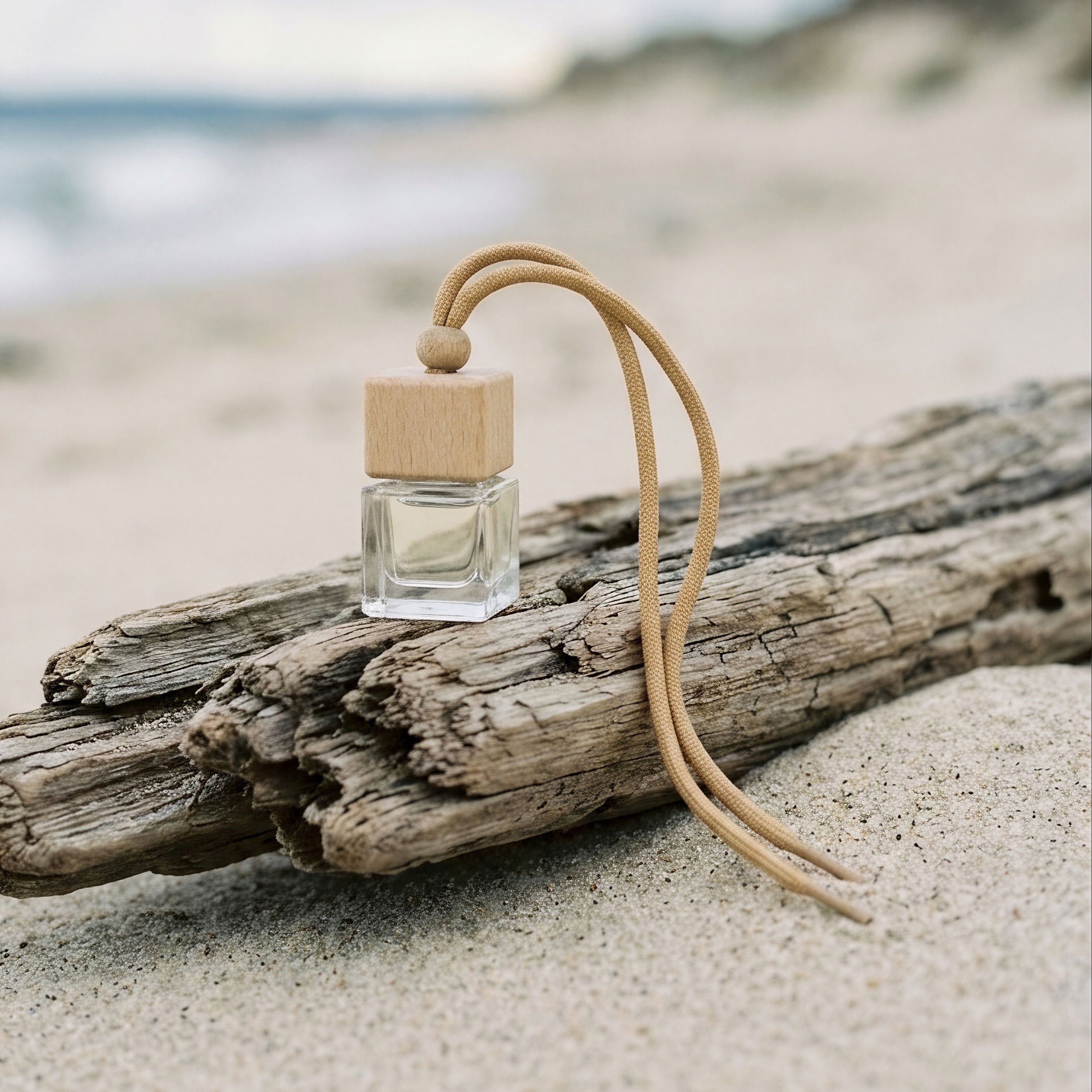 Small space air freshener by graced with Lake Life fragrance, featuring a compact design perfect for home use.