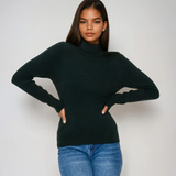 Turtle Neck Sweater