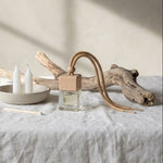 Small space air freshener from graced with Lake Life fragrance, featuring a sleek design to freshen home spaces naturally.