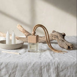Small space air freshener from graced with Lake Life fragrance, featuring a sleek design to freshen home spaces naturally.
